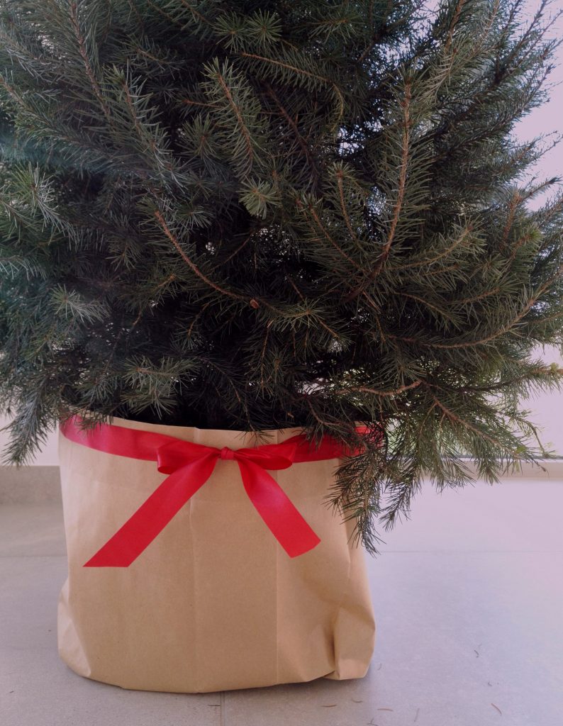 PREPPING YOUR CHRISTMAS TREE